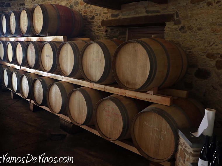 Bodegas Álvarez de Toledo, Toral De Los Vados, Spain