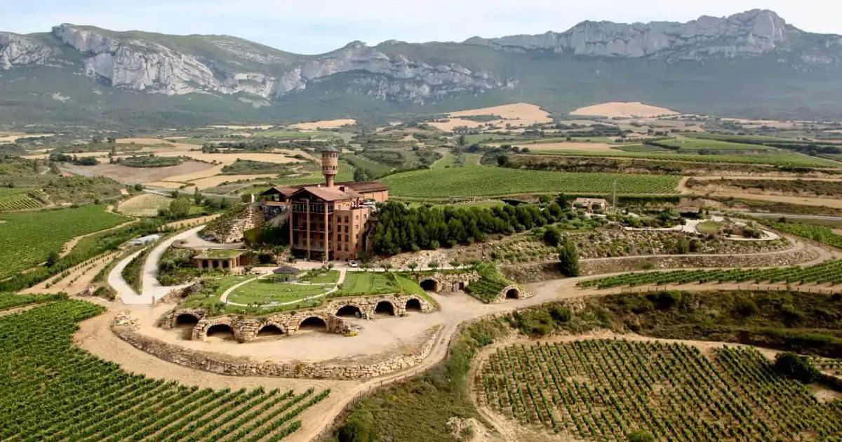 Bodegas Forcada, Winery in Rincon De Olivedo O Las Casas