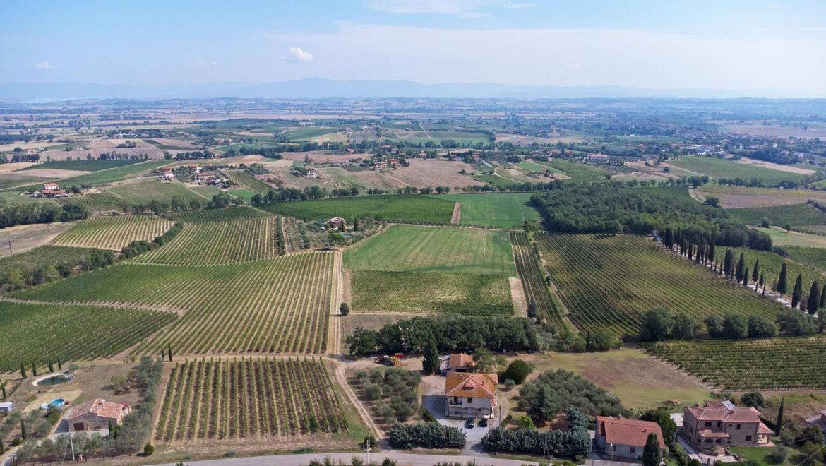 Azienda Casale Daviddi winery in Montepulciano