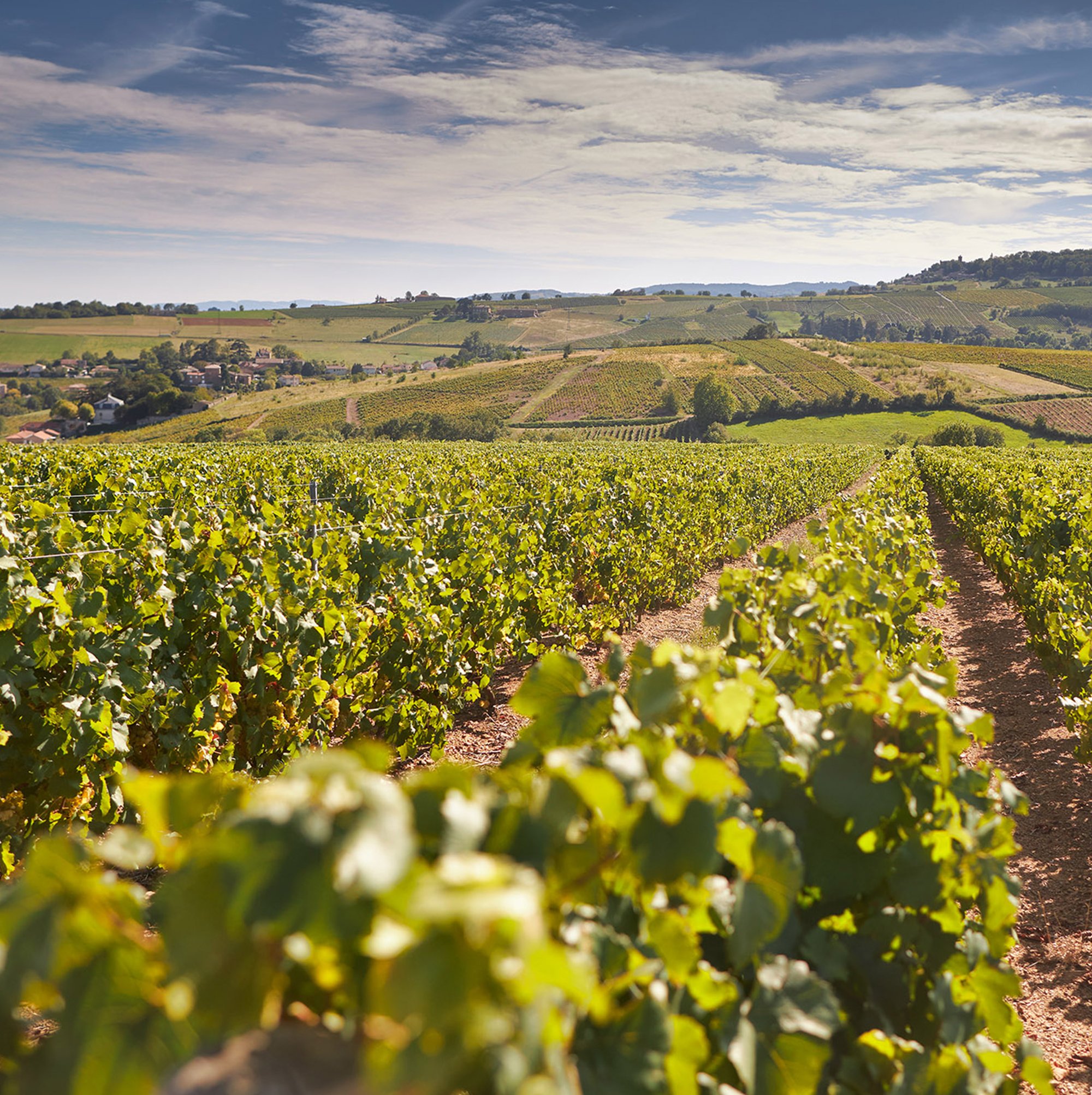 Château de Pierreux, Winery in Odenas