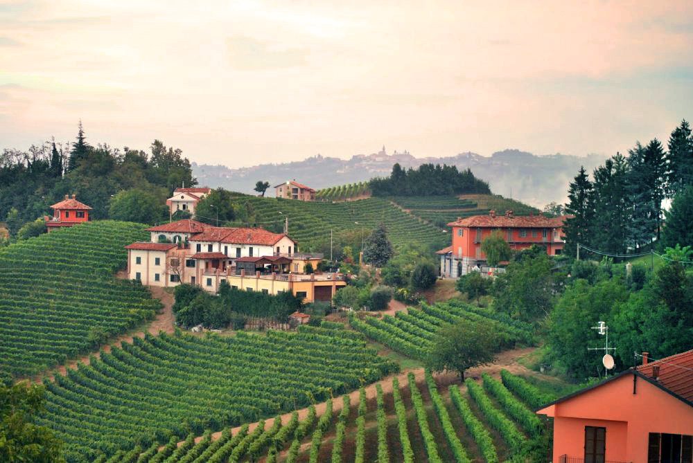 Azienda Agricola Guido Porro
