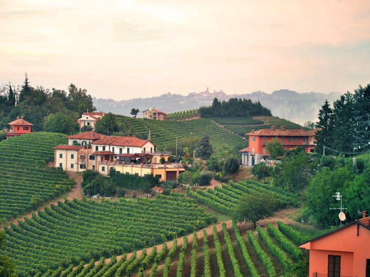 Azienda Agricola Guido Porro, Serralunga d'Alba, Italy