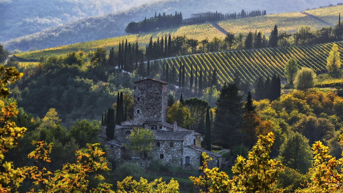 Ampeleia, Roccatederighi, Italy