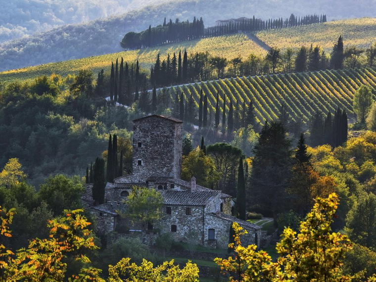 Ampeleia, Roccatederighi, Italy