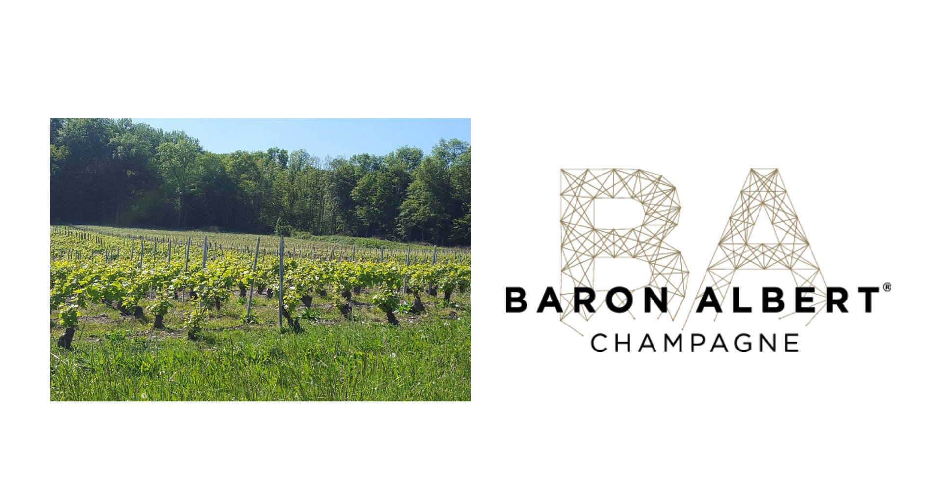 Champagne Baron Albert, Winery in Charly Sur Marne
