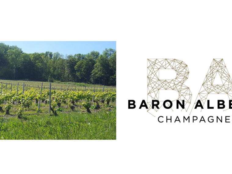 Champagne Baron Albert, Charly Sur Marne, France