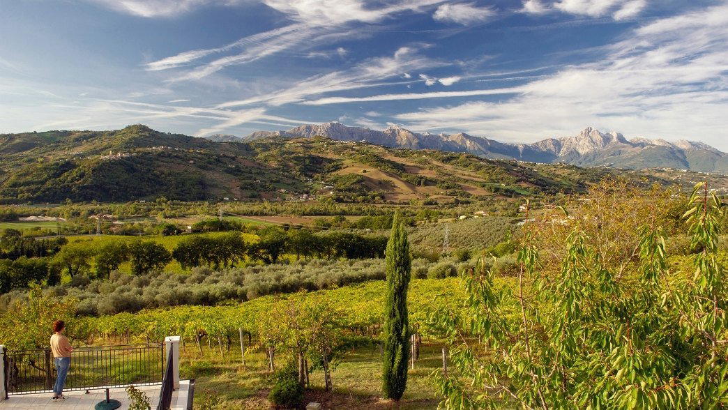 Cerulli Spinozzi winery in Canzano, Italy