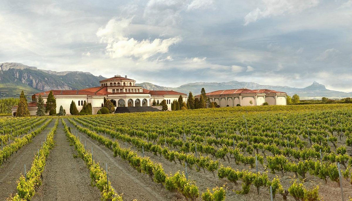 Bodegas y Viñedos Artadi, Winery in Laguardia