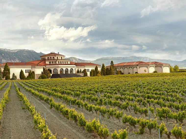 Bodegas y Viñedos Artadi, Laguardia, Spain