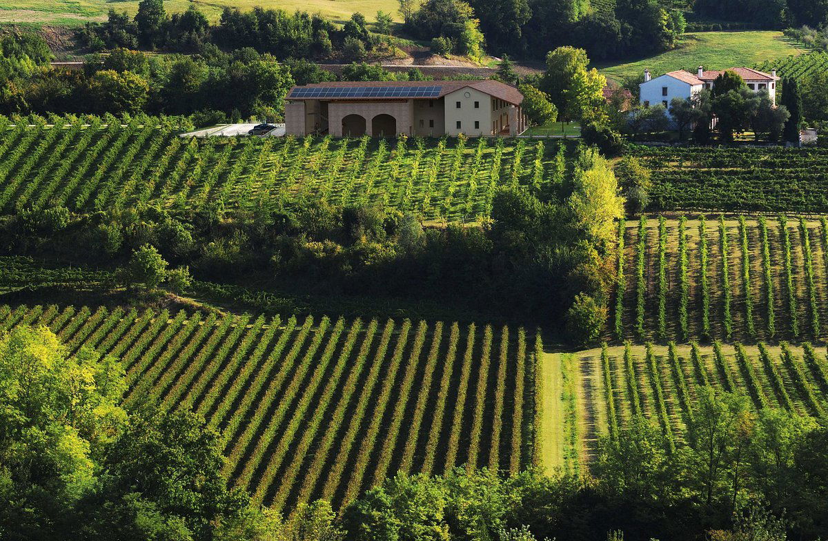 BiancaVigna, Winery in Conegliano