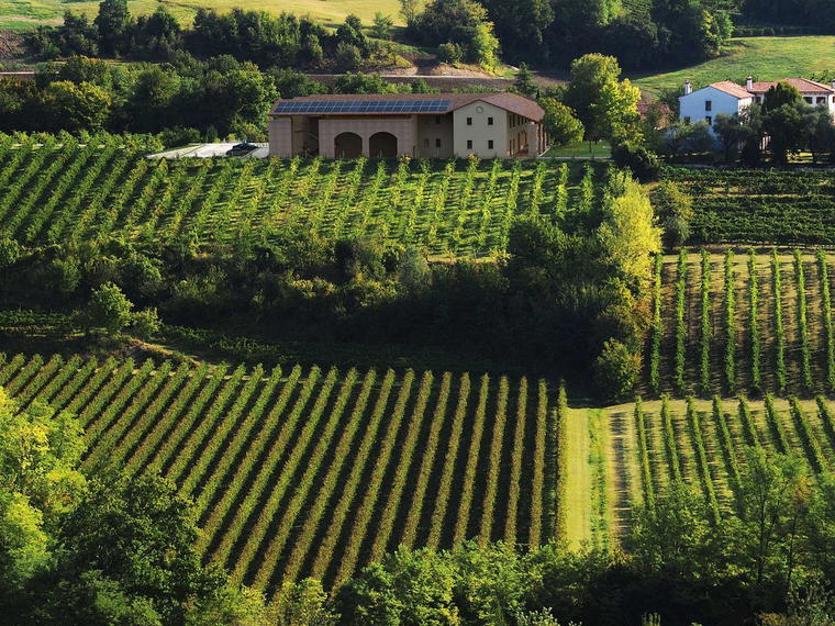 BiancaVigna, Conegliano, Italy