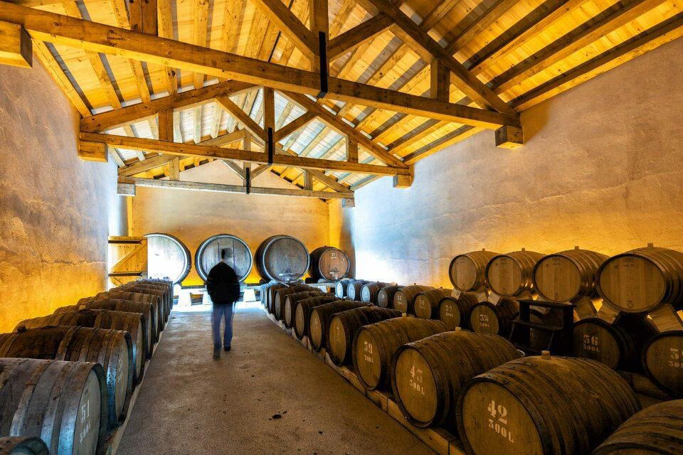 Quinta das Bágeiras winery in Anadia