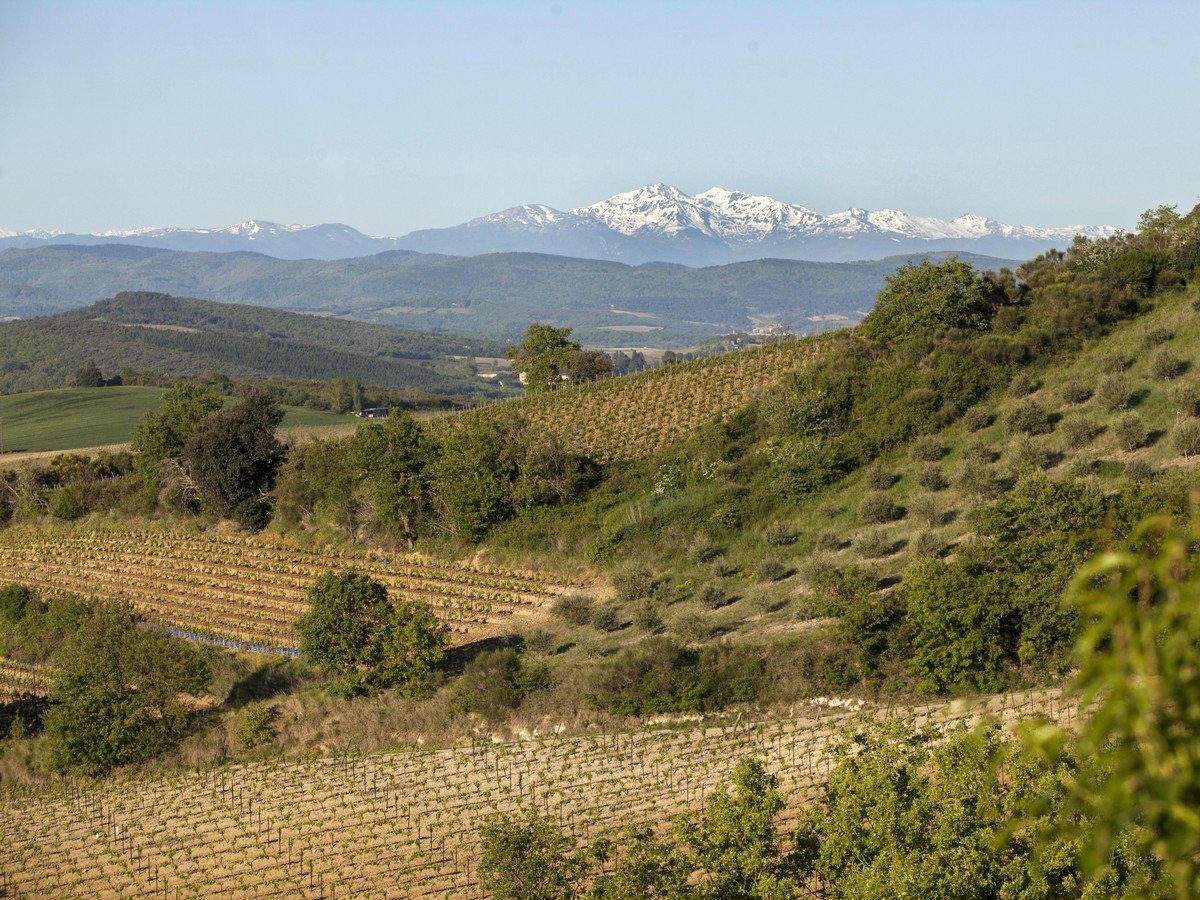 Maison Antech winery in Limoux