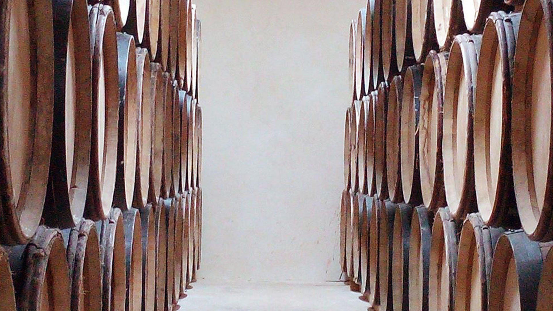 Domaine Saint Sylvestre winery in Puechabon