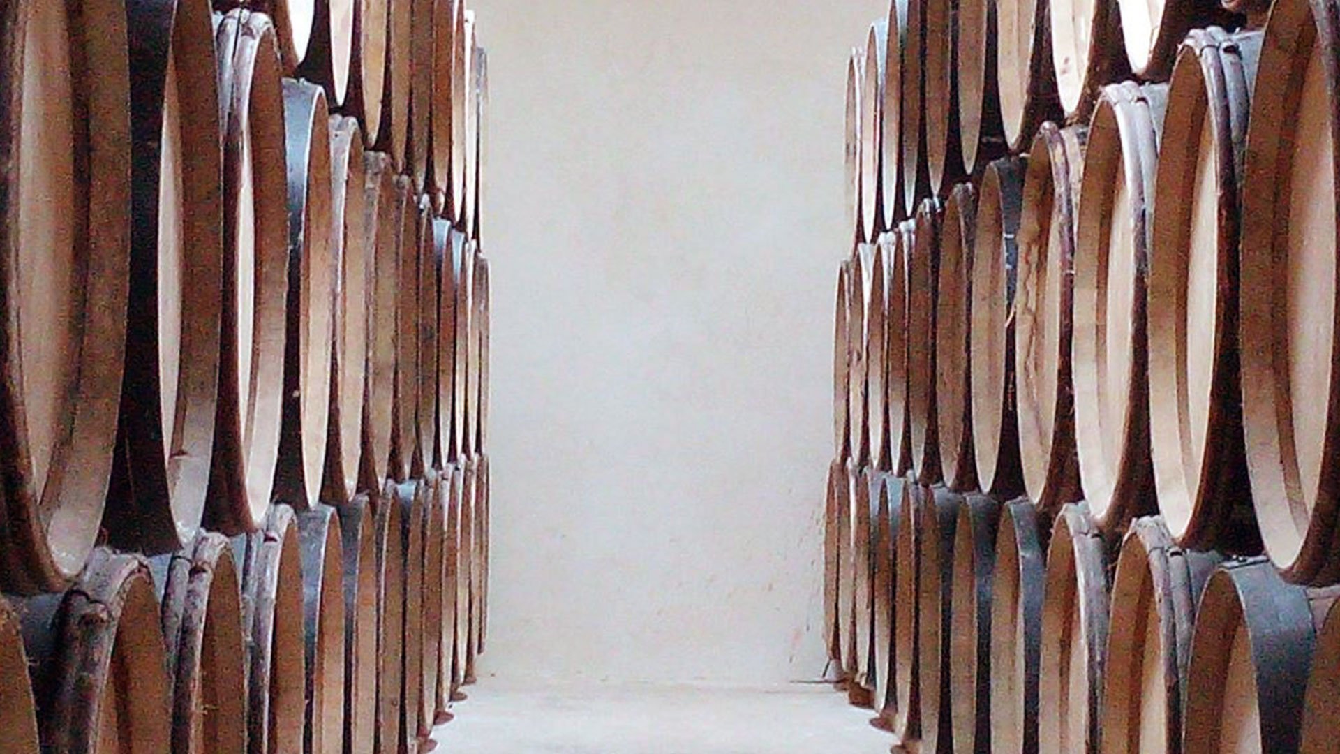 Domaine Saint Sylvestre, Winery in Puechabon