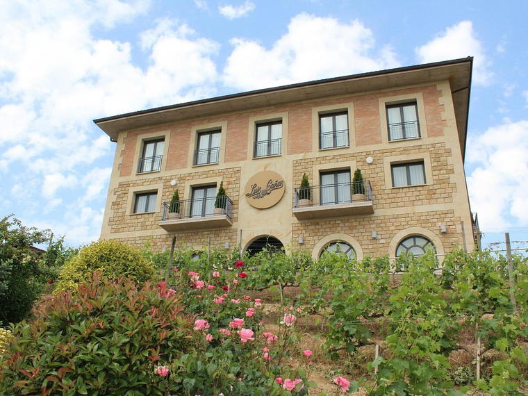 Bodegas Luis Cañas, Villabuena Alava, Spain