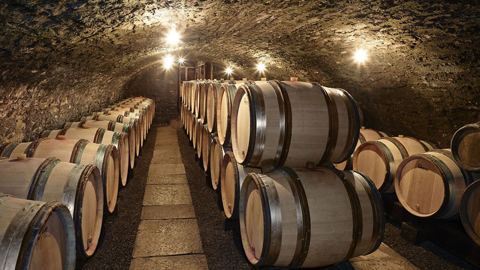 Lafouge, Winery in Auxey Duresses