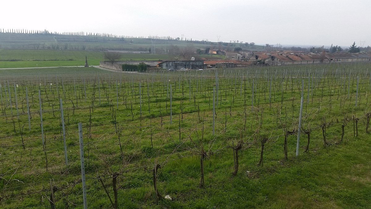 Cavalchina, Winery in Sommacampagna