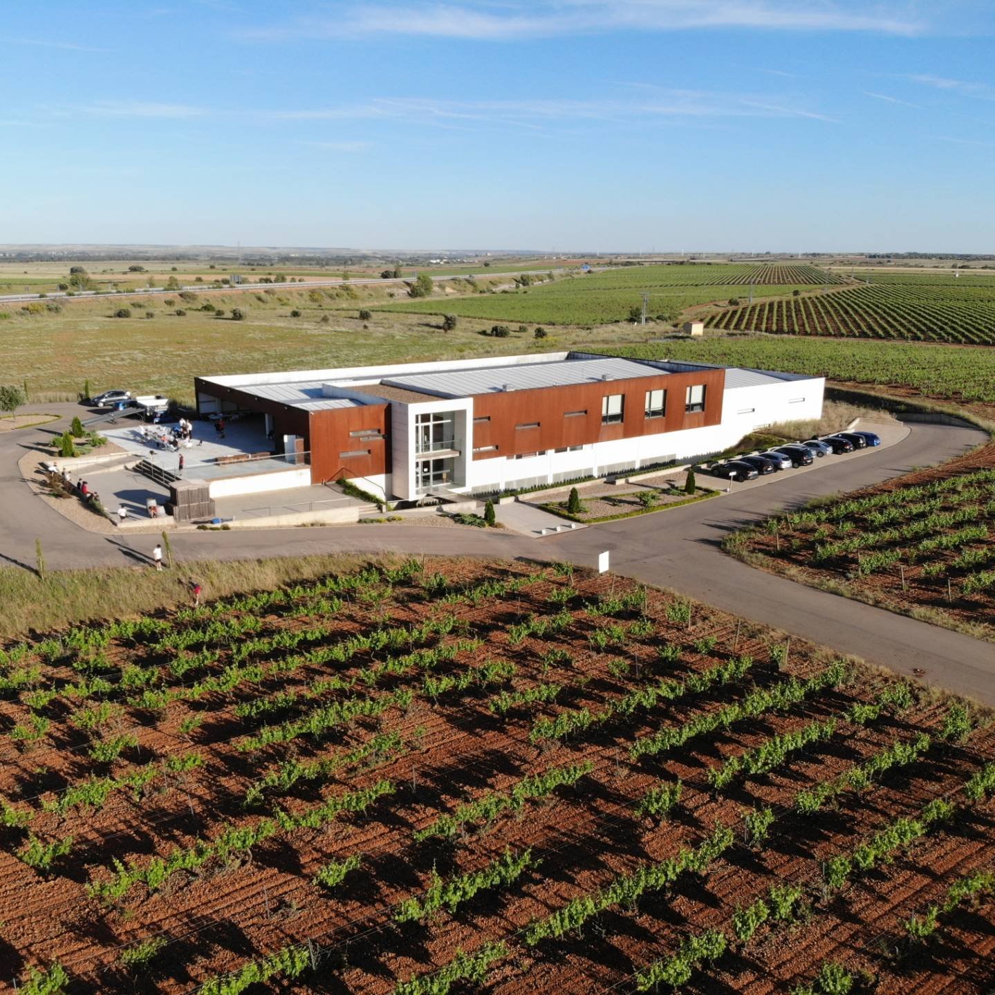 Bodegas y Viñedos Barona, Winery in Burgos