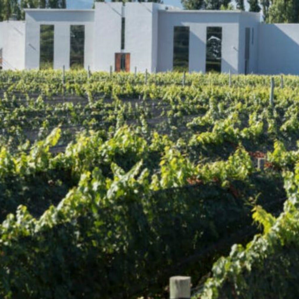 Bodega Foster Lorca, Winery in Luján de Cuyo