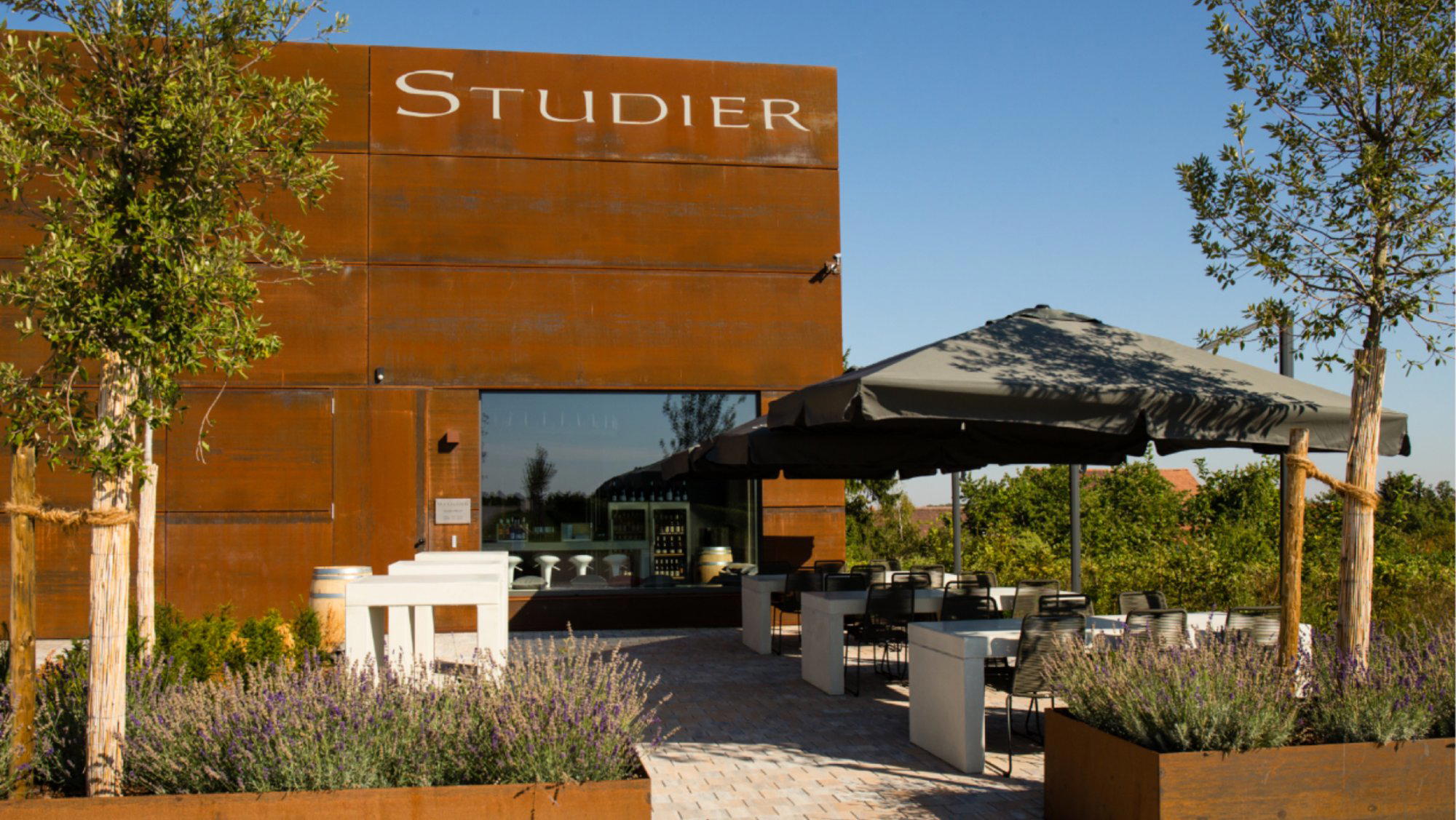 Weingut Studier winery in Ellerstadt
