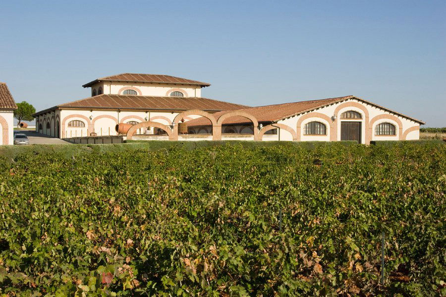 Bodegas Fariña, Winery in Toro