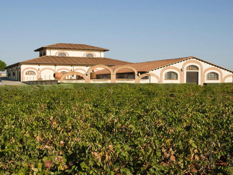 Bodegas Fariña, Toro, Spain