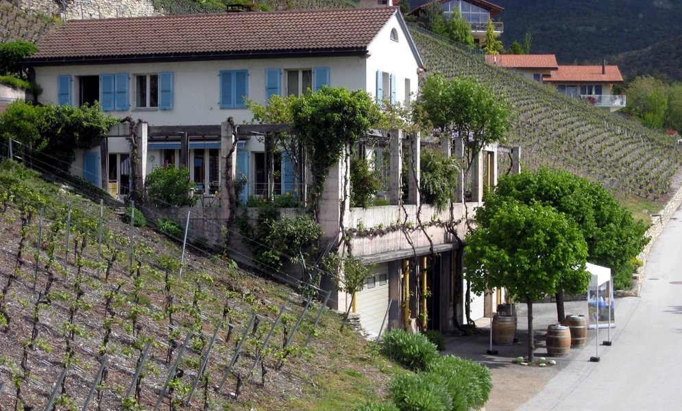 Cave de la Pierre, Venthone, Switzerland