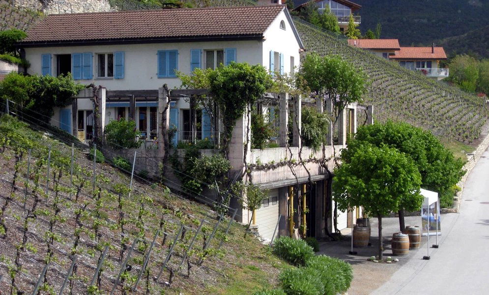 Cave de la Pierre, Winery in Venthone