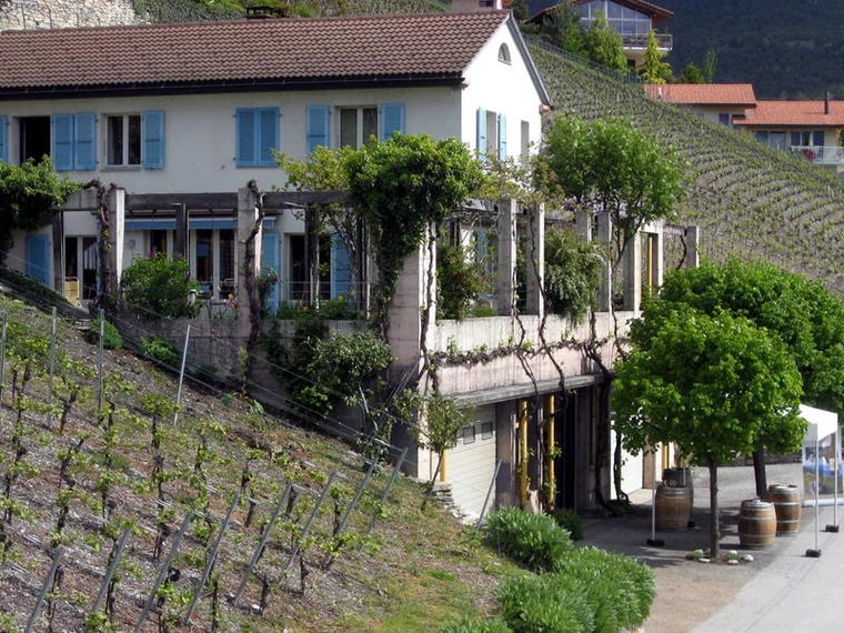 Cave de la Pierre, Venthone, Switzerland