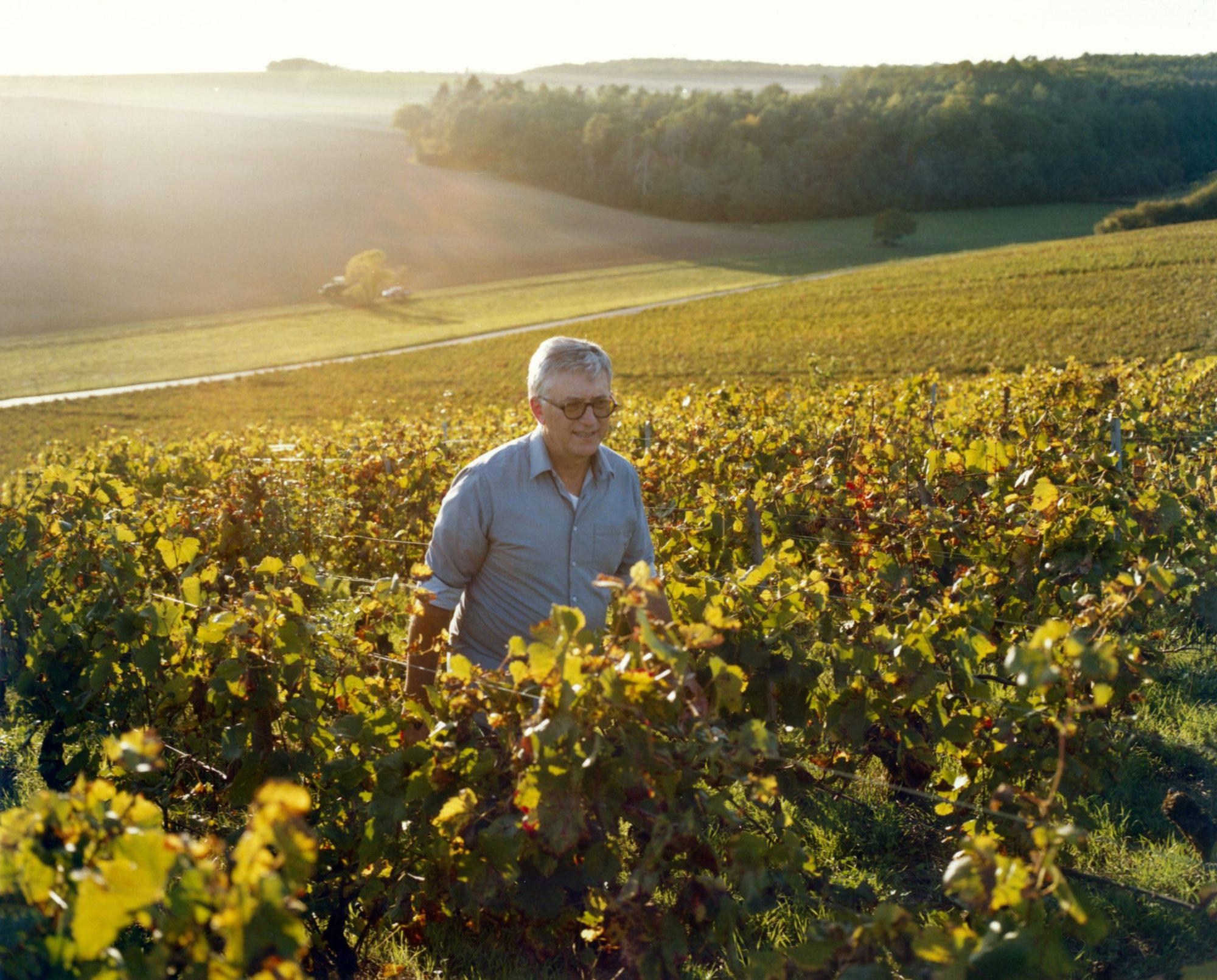 Eric Collinet winery in Bragelogne Beauvoir