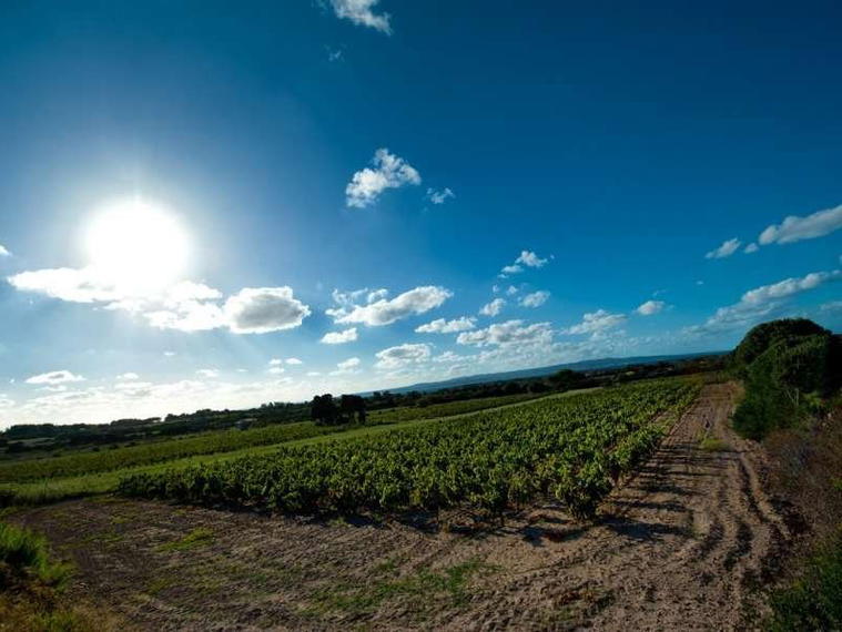 Cantine Sardus Pater, Sant Antioco, Italy