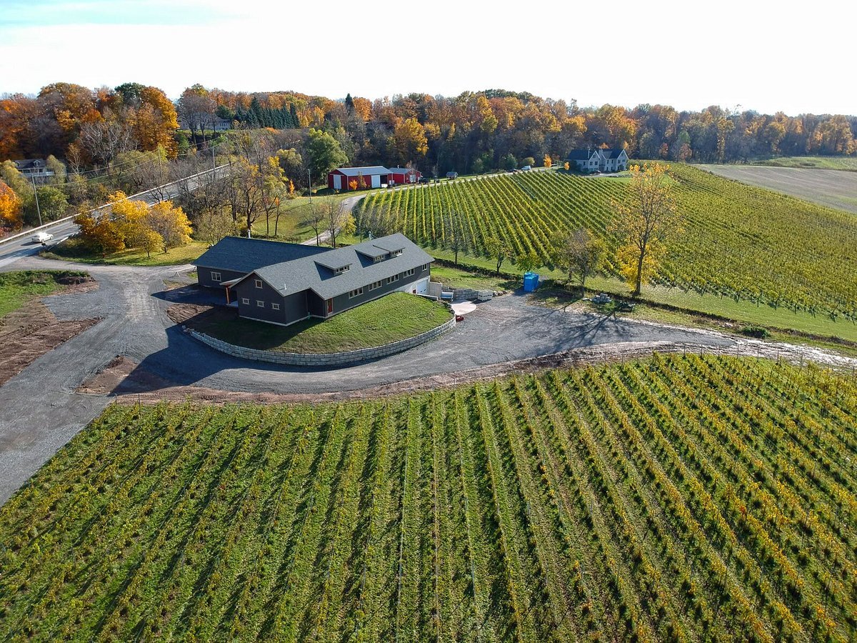 Arrowhead Spring Vineyard, Lockport, United States