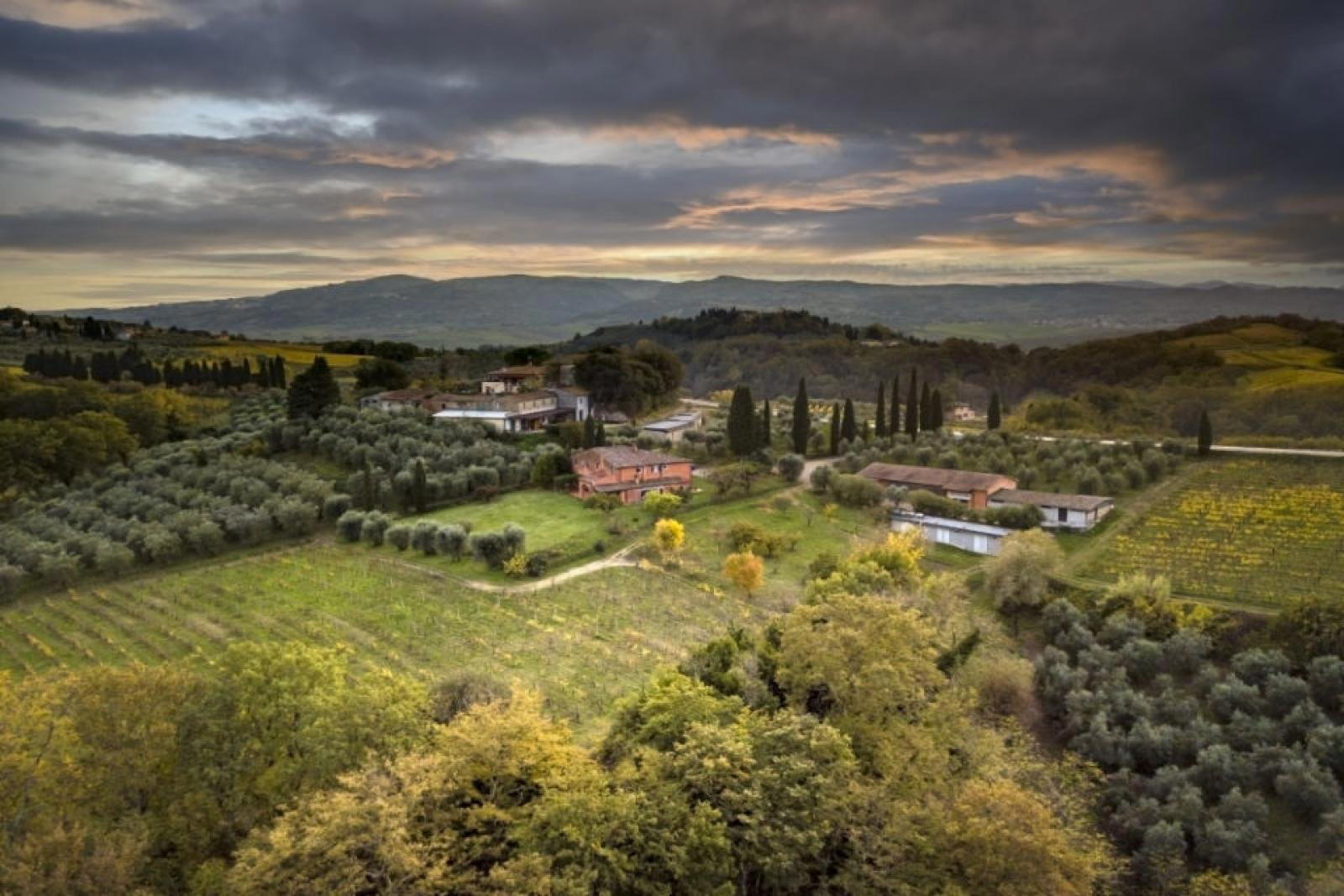 Marina Romin winery in Terricciola