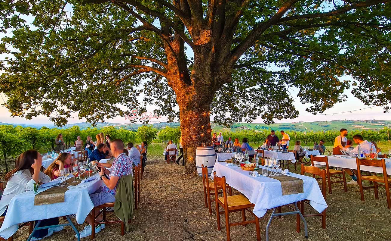 Calatroni Vini