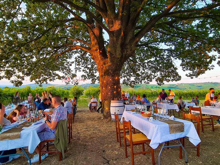 Calatroni Vini, Montecalvo Versiggia, Italy