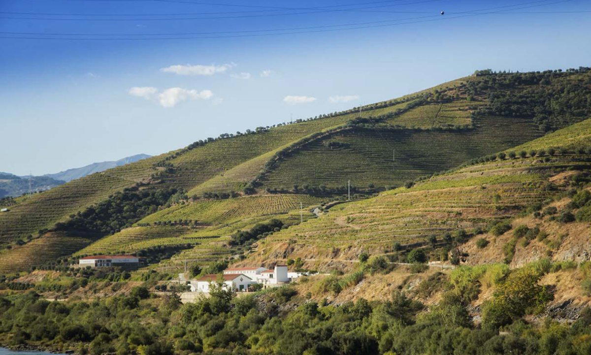Quinta de Valbom winery in Peso da Régua, Portugal