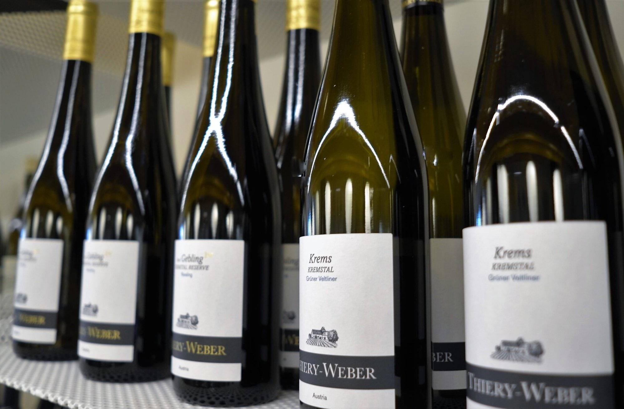 Artur Toifl, Winery in Rohrendorf Bei Krems