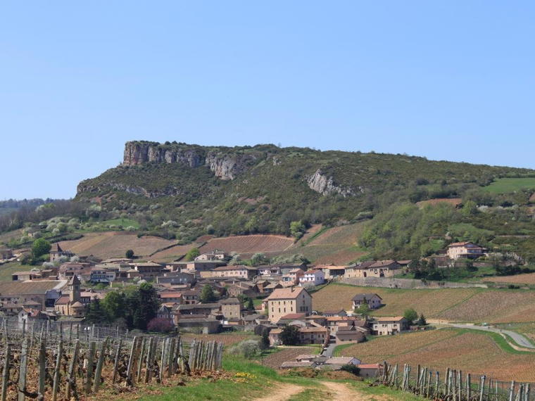 Domaine Cheveau, Solutré-Pouilly, France