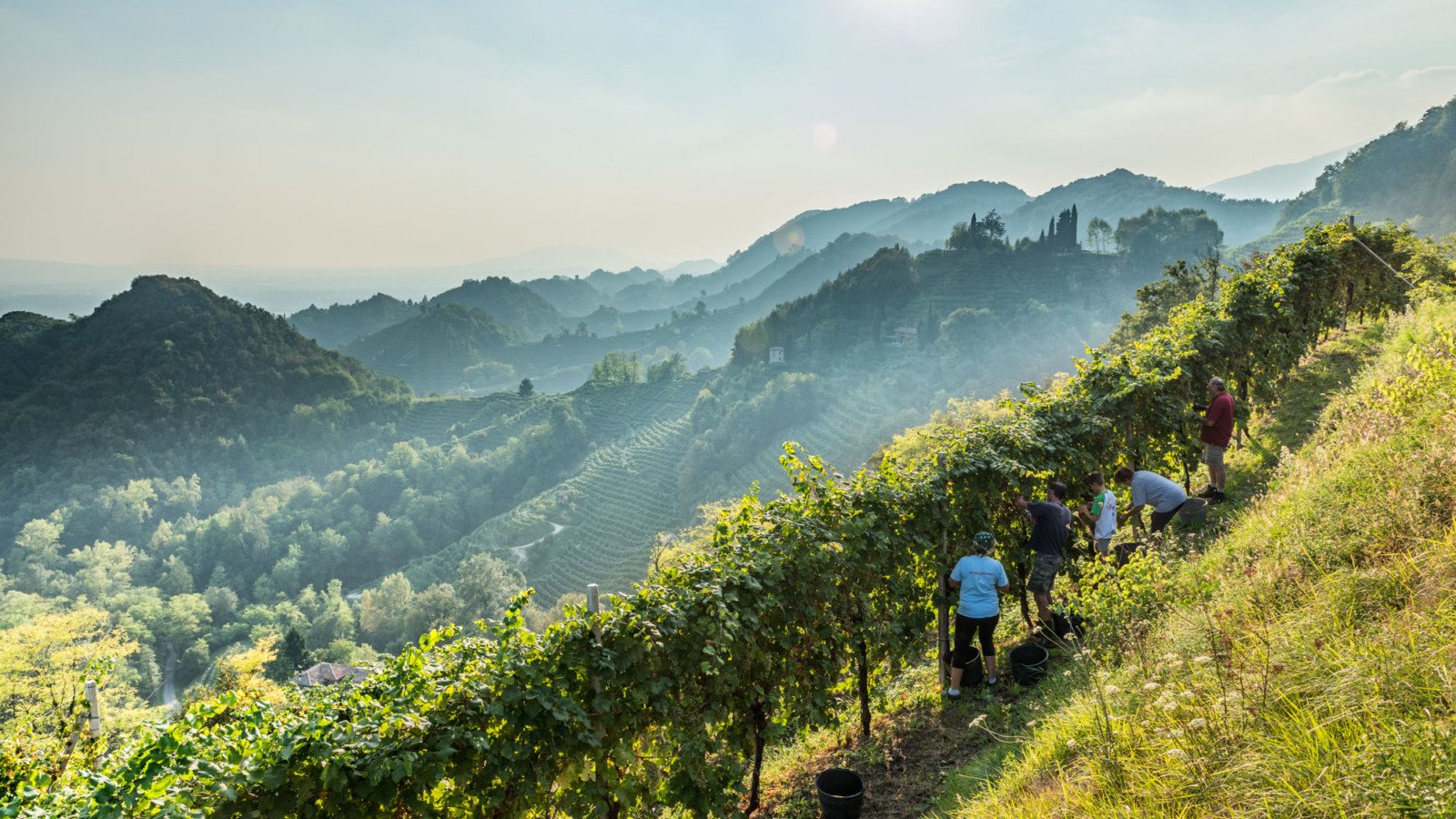 Bortolomiol, Valdobbiadene, Italy