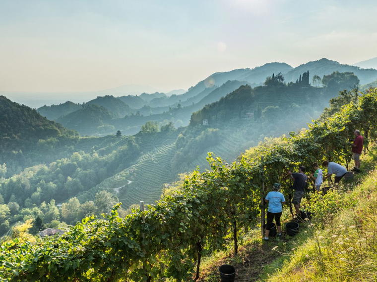Bortolomiol, Valdobbiadene, Italy