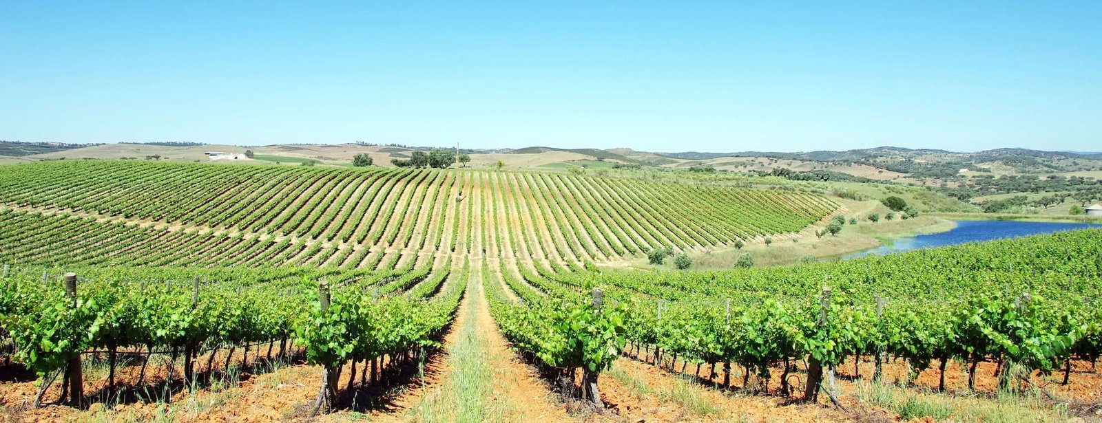 Adega Portalegre, Portalegre, Portugal