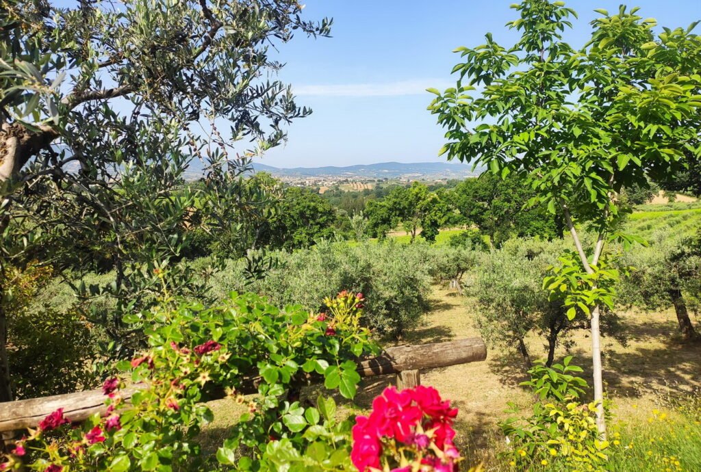 Cantina Colle Ciocco