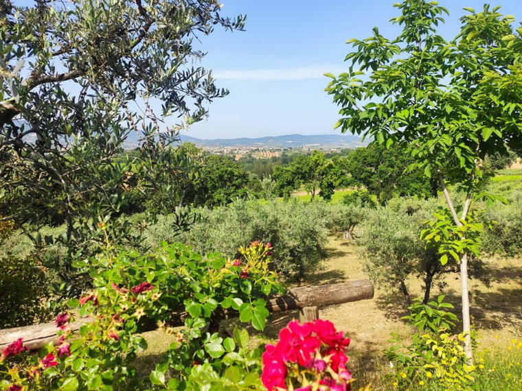 Cantina Colle Ciocco, Montefalco, Italy