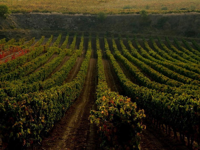 Bodegas Tobía, Cuzcurrita Del Rio Tiron, Spain