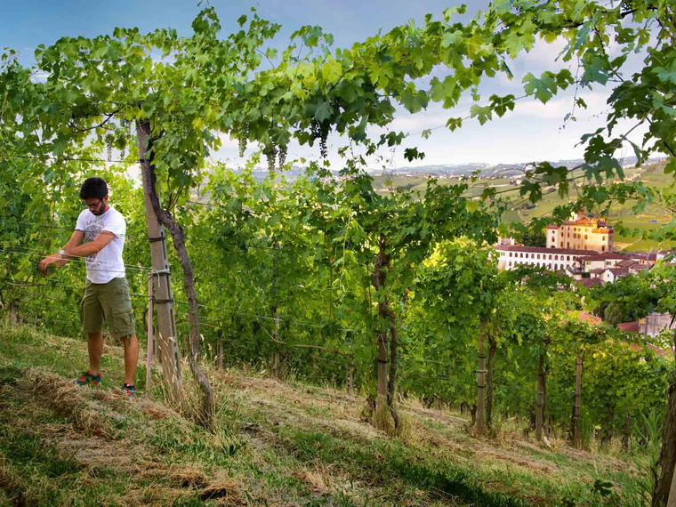 Cantine Risveglio, Brindisi, Italy