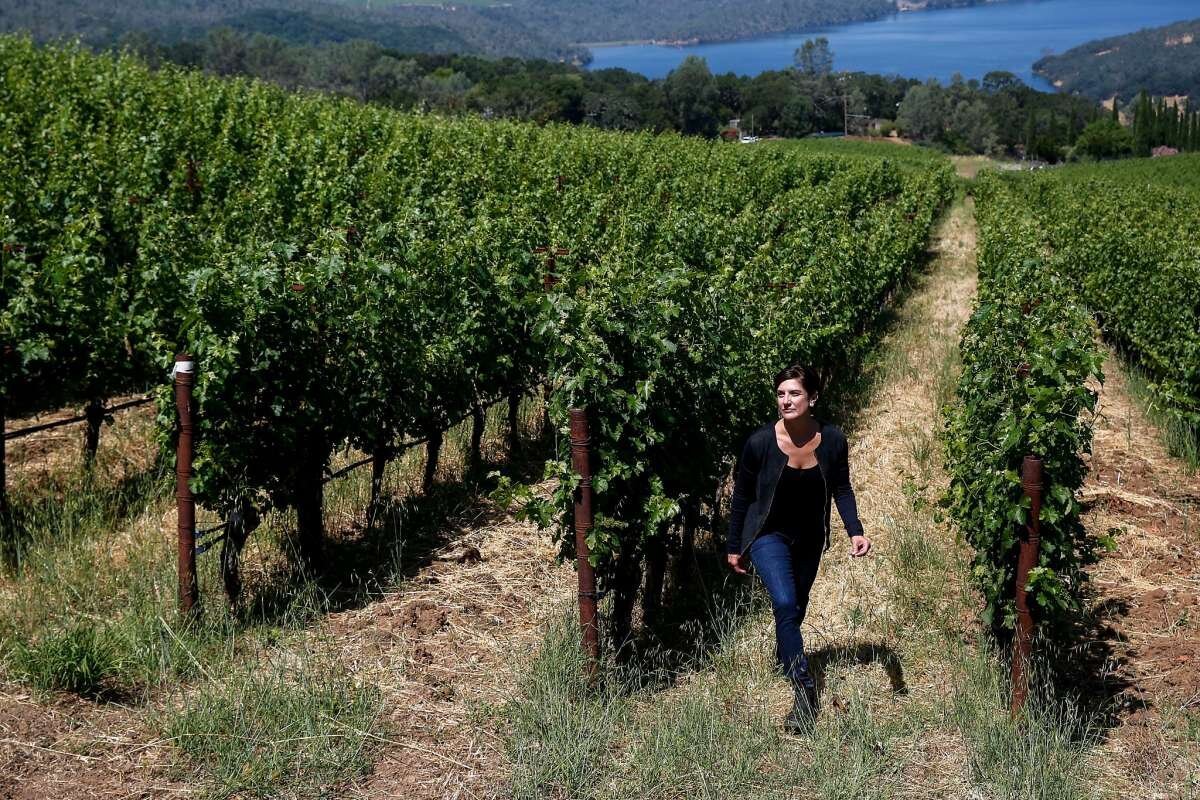Bryant Estate, Winery in St. Helena