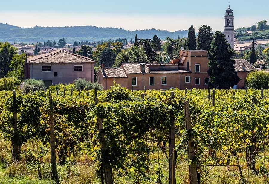 Azienda Agricola Meroni, Winery in Sant'Ambrogio di Valpolicella