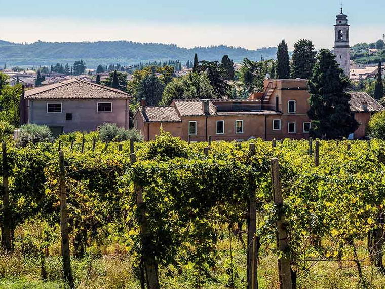 Azienda Agricola Meroni, Sant'Ambrogio di Valpolicella, Italy