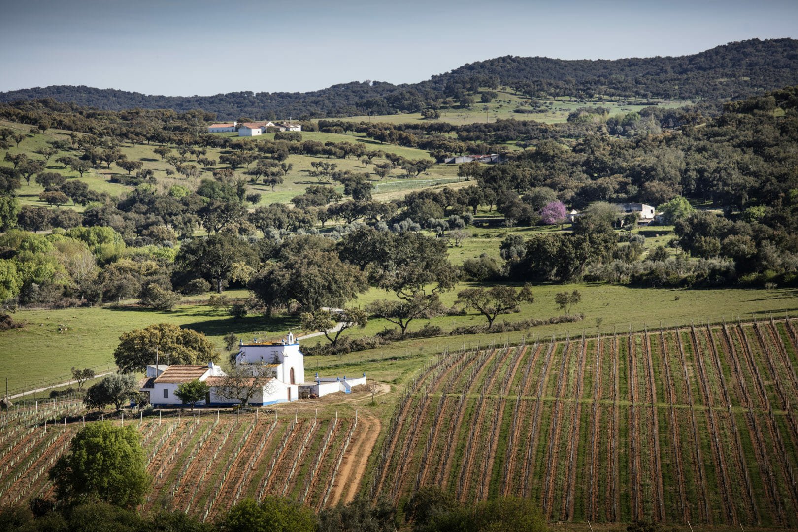 Quinta da Plansel